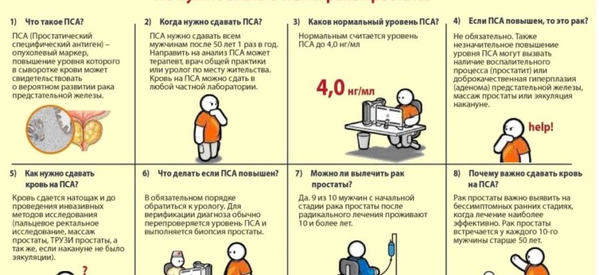 Анализы крови на пса