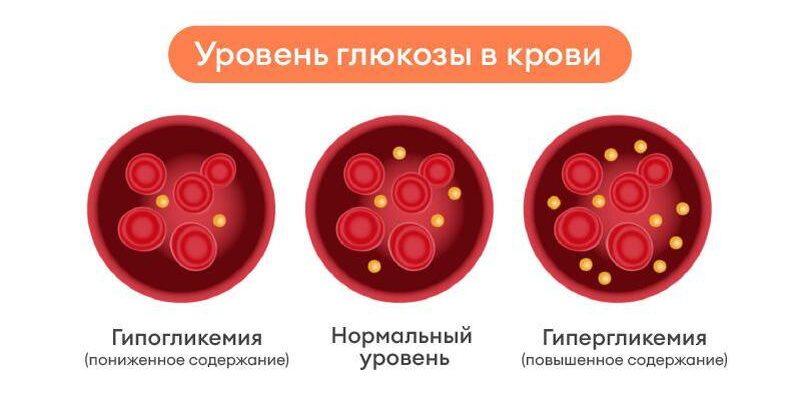 Какой уровень сахара в крови считается нормальным и что делать если он понижен или повышен